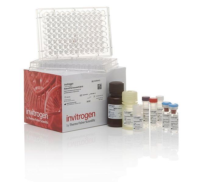 Browse Invitrogen IL-13 Mouse Uncoated ELISA Kit with Plates, 20 x 96 Tests