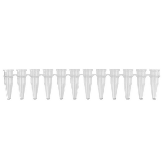 Axygen® Polypropylene PCR Tube Strips, 12 Tubes/Strip, Clear, Nonsterile, 0.2 mL
