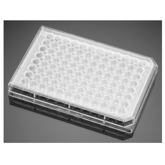 Falcon® 96-well Clear Round Bottom TC-treated Cell Culture Microplate, with Lid, Individually Wrapped, Sterile