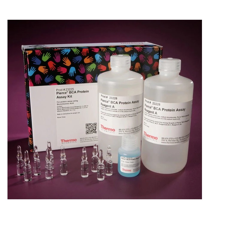 Thermo Scientific™ Pierce™ BCA Protein Assay Kit, 1 L