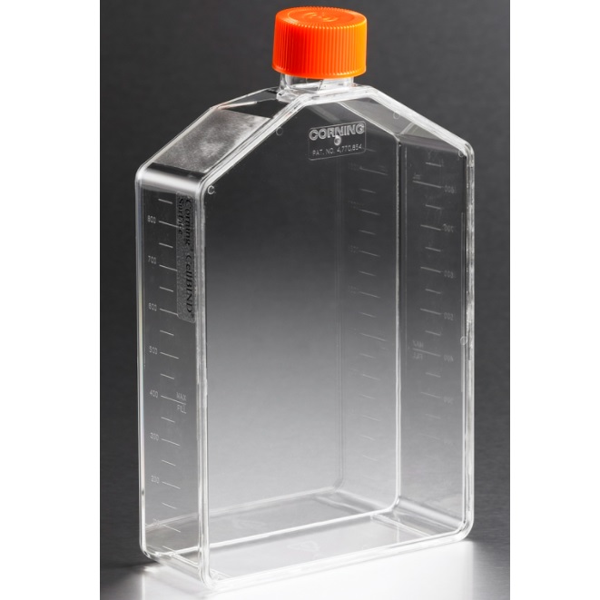 Corning®  Angled Neck Cell Culture Flask with Plug Seal Cap, 225 cm²