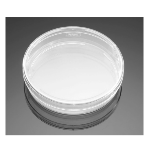 Corning® Primaria™ 100 mm x 20 mm Standard Cell Culture Dish