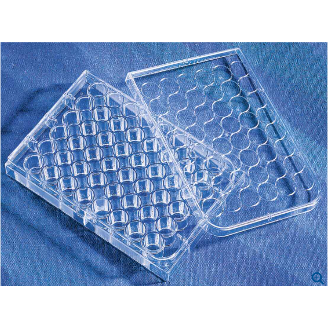 Corning® CellBIND® 48-well Multiple Well Plates, Flat Bottom, Clear, with Lid, Sterile