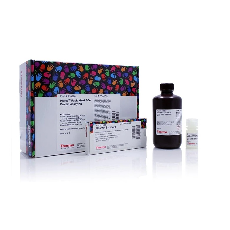 Thermo Scientific™ Pierce™ Rapid Gold BCA Protein Assay Kit, 20 mL (trial size)