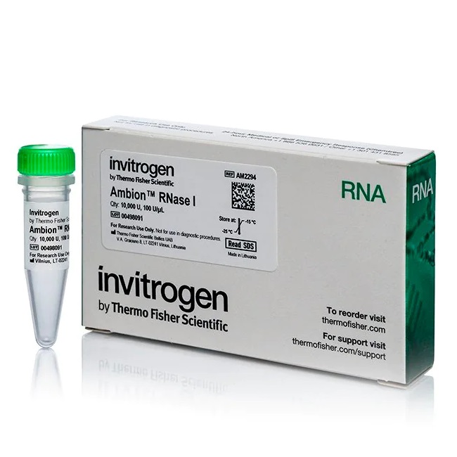 Invitrogen™ Ambion™ RNase I, cloned, 100 U/µL, 10,000 units
