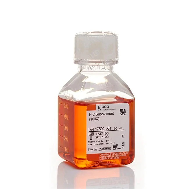 Gibco™ N-2 Supplement (100X), 50 mL