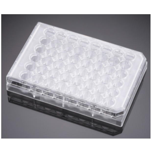 Falcon® 48-well Clear Flat Bottom Not Treated Multiwell Cell Culture Plate, with Lid, Individually Wrapped, Sterile