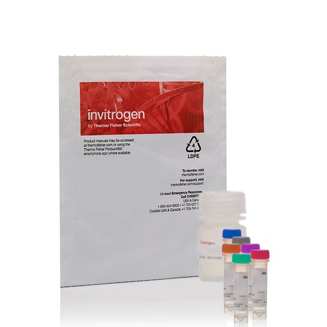 Invitrogen™ EnzChek™ Myeloperoxidase (MPO) Activity Assay Kit