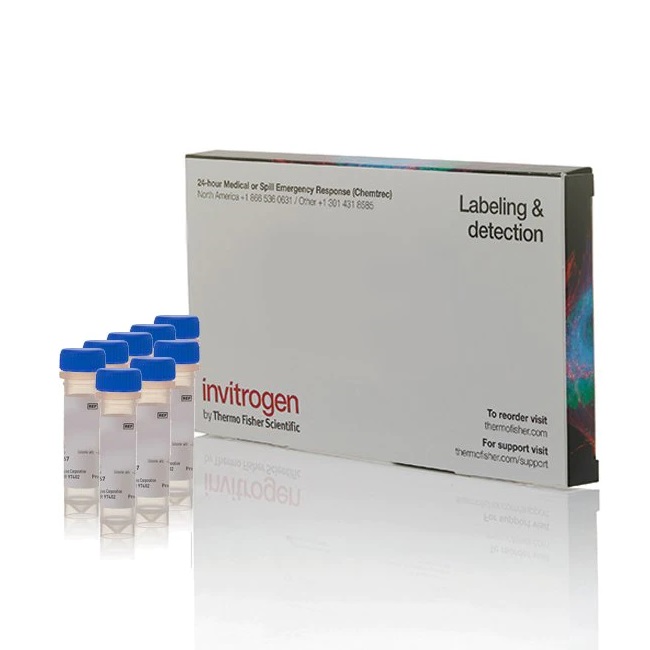 Invitrogen™ Nucleic Acid Stains Dimer Sampler Kit
