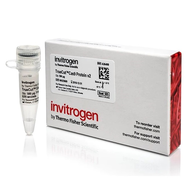 Invitrogen™ TrueCut™ Cas9 Protein v2, 500 µg