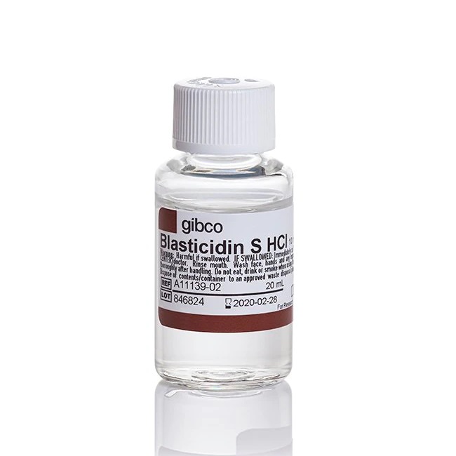 Gibco™ Blasticidin S HCl (10 mg/mL), 20 mL