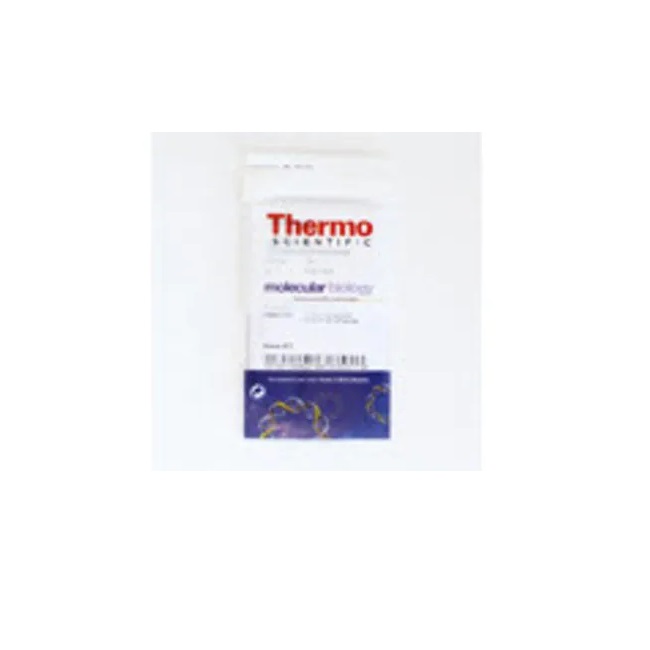 Thermo Scientific™ T4 beta-glucosyltransferase