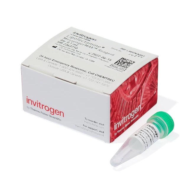Invitrogen™ Lipofectamine™ MessengerMAX™ Transfection Reagent, 0.1 mL