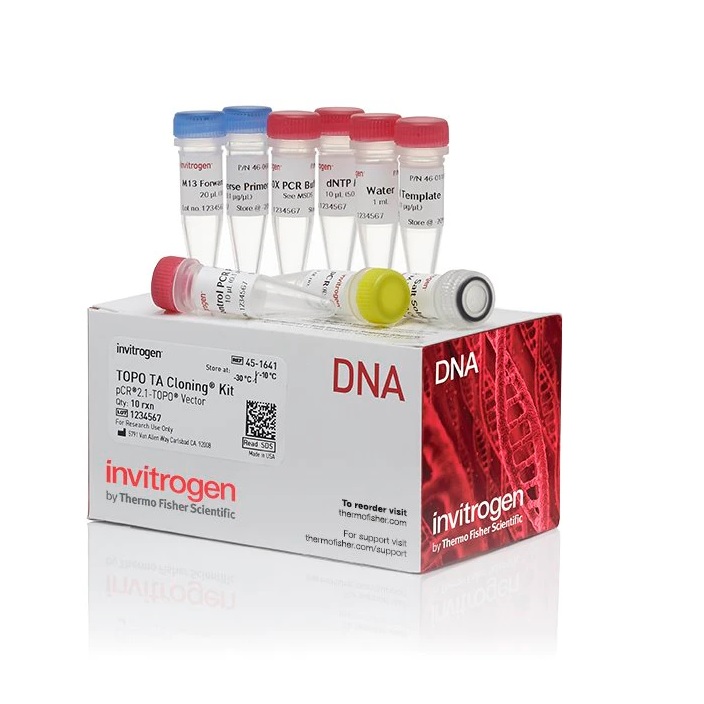 Invitrogen™ TOPO™ TA Cloning™ Kit for Subcloning, without competent cells, 10 Reactions