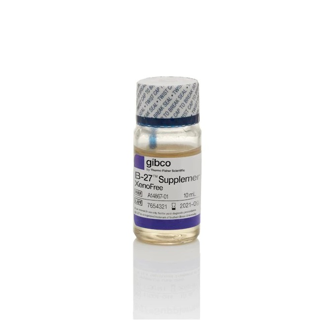 Gibco™ B-27™ Supplement, XenoFree