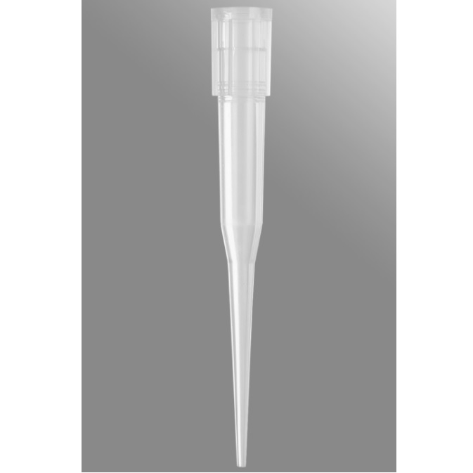 Axygen® 96-well Tips, 250µL, Clear, Non-filtered, Non-sterile
