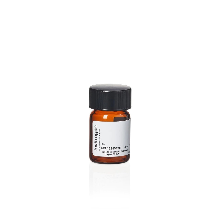 Invitrogen™ Biocytin TMR (5-(and-6)-Tetramethylrhodamine Biocytin)