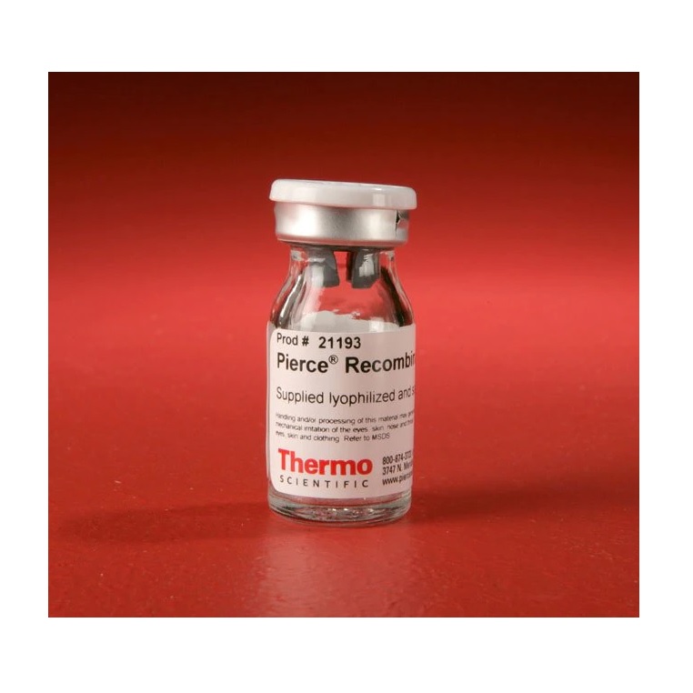 Thermo Scientific™ Pierce™ Recombinant Protein G, 5 mg