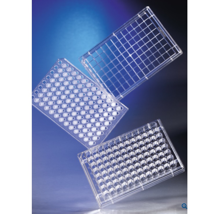 HTS Transwell®-96 Permeable Support with 1.0 µm Pore Polyester Membrane, 5 per Case, Sterile