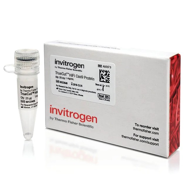 Invitrogen™ TrueCut™ HiFi Cas9 Protein (1 µg/µL), 25 µg