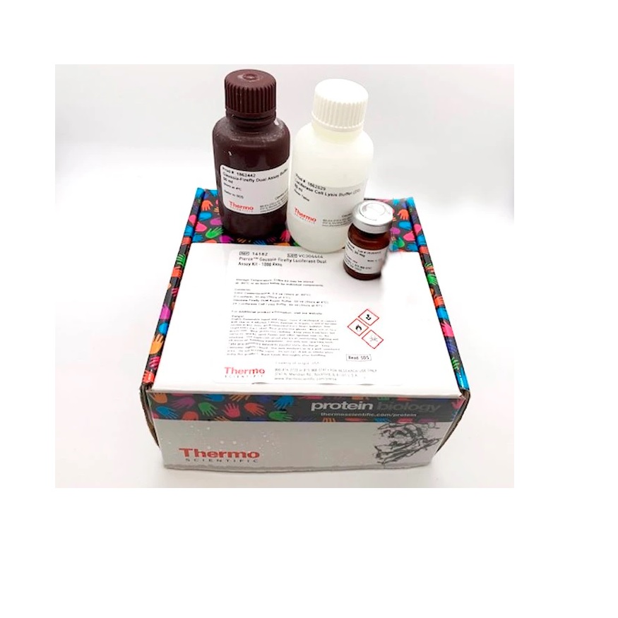 Thermo Scientific™ Pierce™ Firefly Luciferase Flash Assay Kit, 1000 Reactions