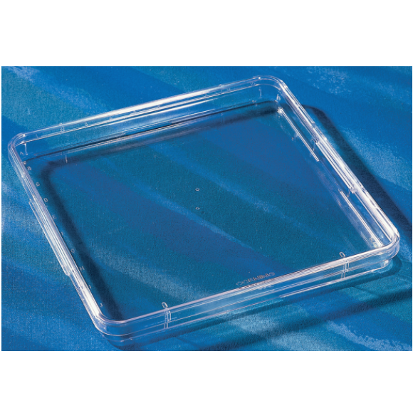 Corning® Square Low Profile BioAssay Dish without Handles, Not TC-treated, 245 mm