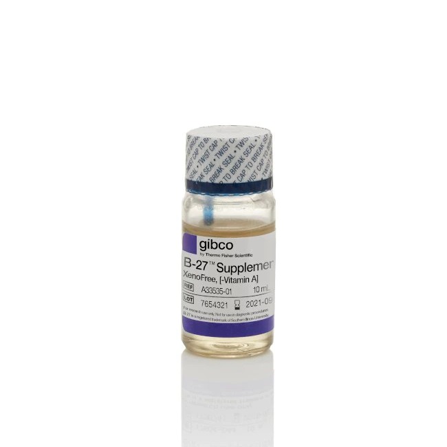 Gibco™ B-27™ Supplement, XenoFree, minus vitamin A