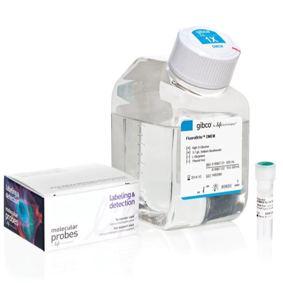 Invitrogen™ CD44 Alexa Fluor™ 488 Conjugate Kit for Live Cell Imaging