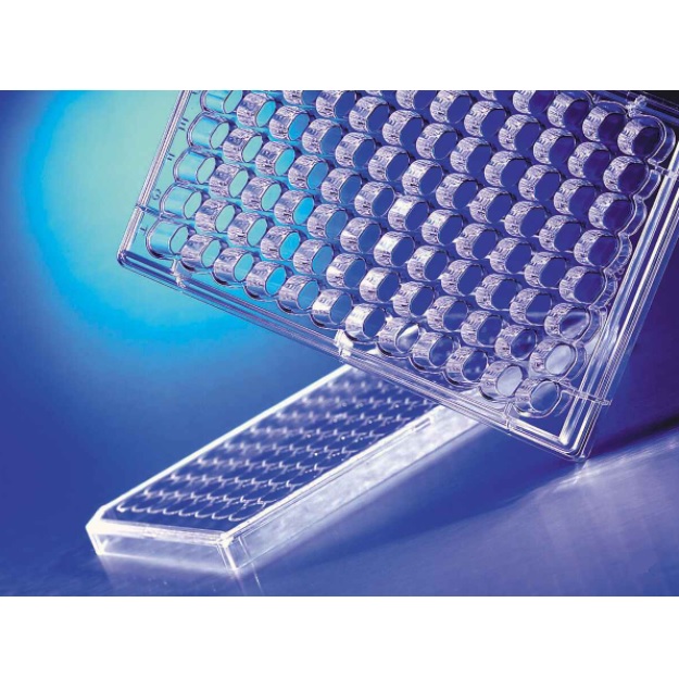 Corning™ HTS Transwell®-96 Receiver Plate, Clear, Sterile