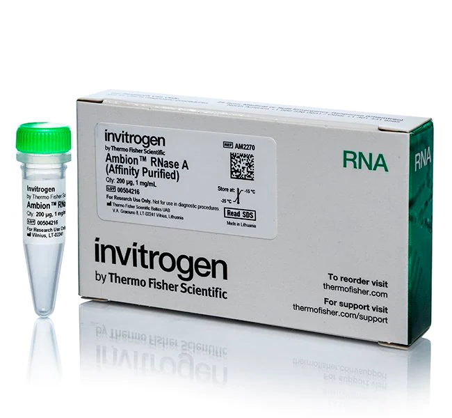 Invitrogen™ Ambion™ RNase A, affinity purified, 1 mg/mL, 200 µg
