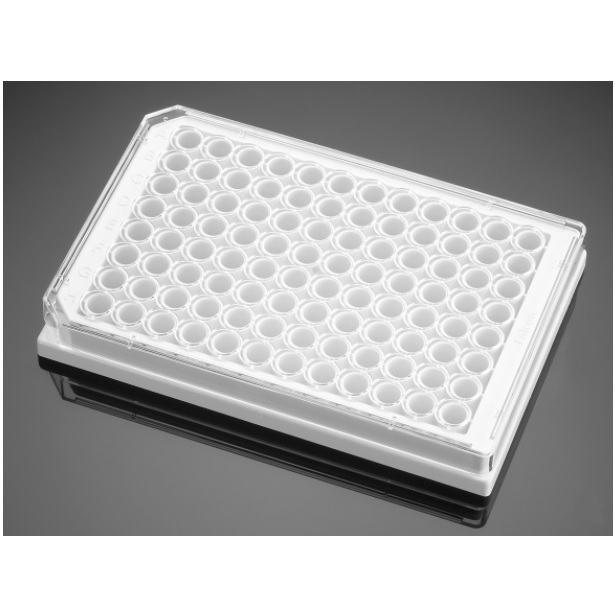 Corning® BioCoat® Collagen I 96-well White/Clear Flat Bottom TC-treated Microplate, 80/Case