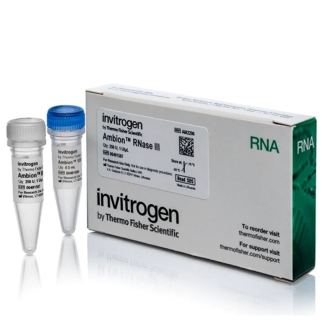 Invitrogen™ Ambion™ RNase III