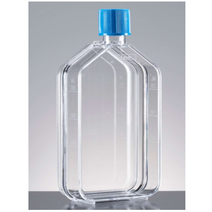 Falcon® Rectangular Straight Neck Cell Culture Flask With Vented Cap, 75 cm²