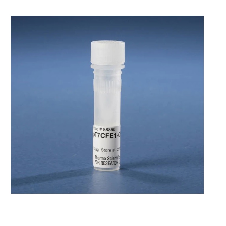 Thermo Scientific™ pT7CFE1-Cftag Vector for Mammalian Cell-Free Protein Expression