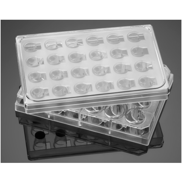 Corning® BioCoat® Tumor Invasion 24-well Plate, with Lid, 5/Case