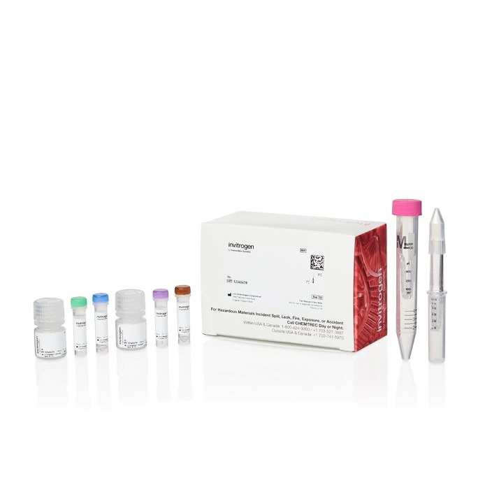 Invitrogen™ SiteClick™ Antibody Azido Modification Kit, for 5 mg of Ab