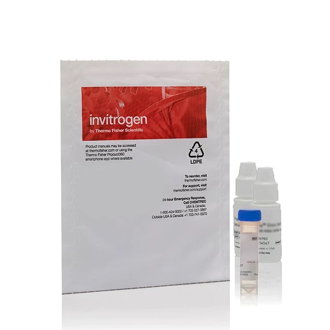 Invitrogen™ Griess Reagent Kit, for nitrite quantitation