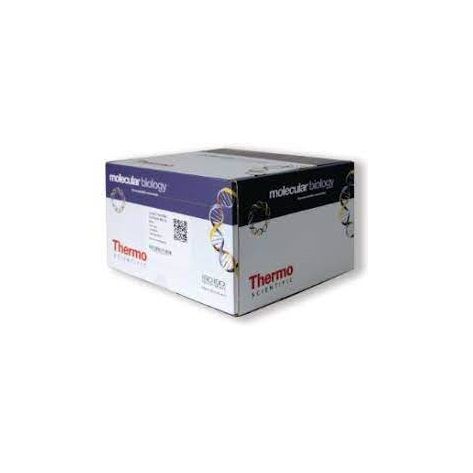 Thermo Scientific™ TMTsixplex™ Isobaric Label Reagent Set, 2 x 5 mg