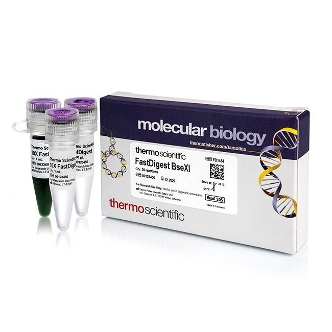 Thermo Scientific™ FastDigest BseXI