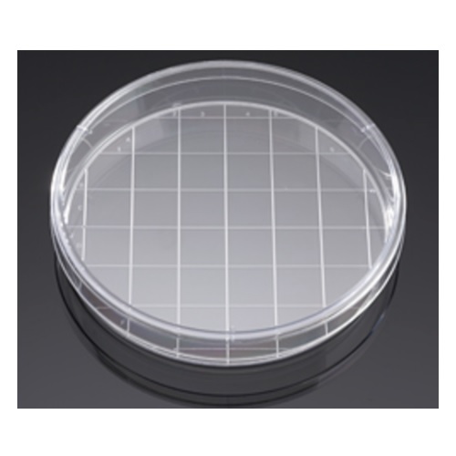 Corning® BioCoat® Poly-D-Lysine 150 mm TC-treated Gridded Culture Dishes