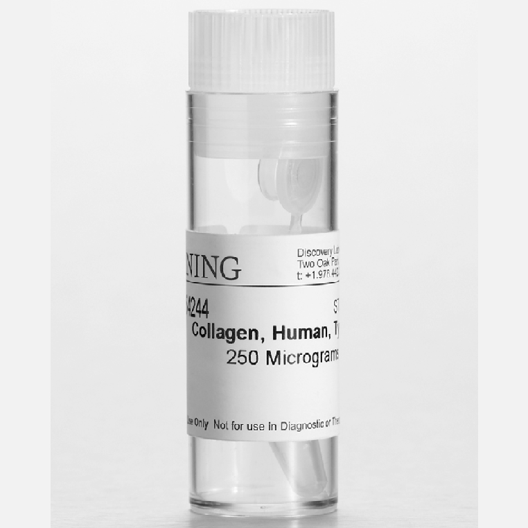 Corning® 0.25mg Collagen III, Human