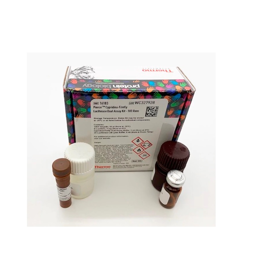 Thermo Scientific™ Pierce™ Cypridina-Firefly Luciferase Dual Assay Kit, 100 Reactions