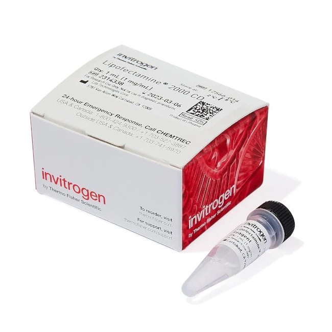 Invitrogen™ Lipofectamine™ 2000 CD Transfection Reagent