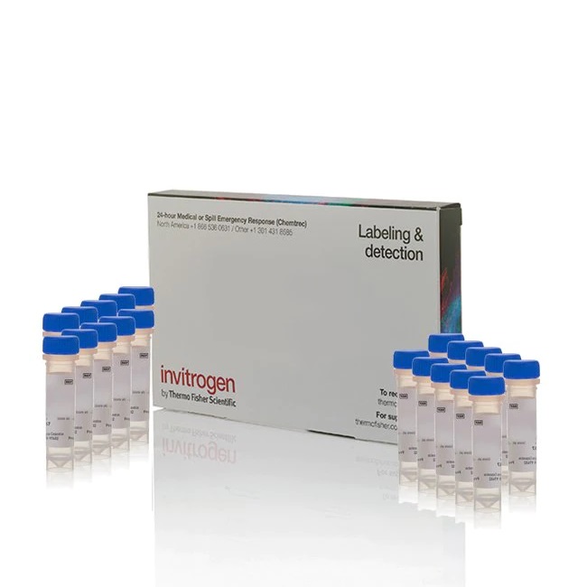 Invitrogen™ Fluo-3, AM, Calcium Indicator, 20 x 50 µg