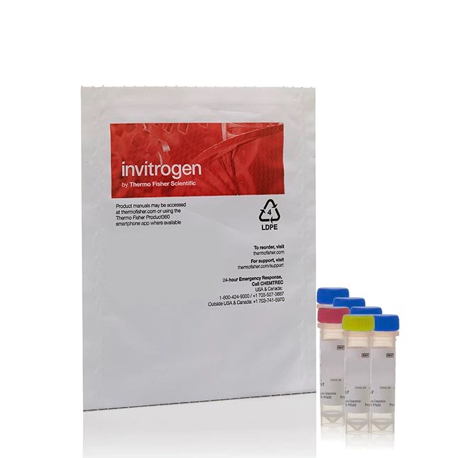 Invitrogen™ Rhod-3 Calcium Imaging Kit