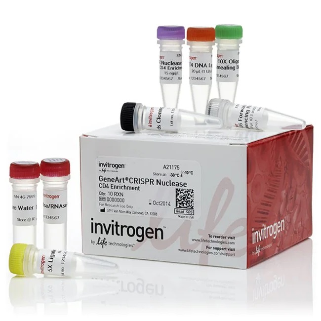 Invitrogen™ GeneArt™ CRISPR Nuclease Vector with CD4 Enrichment Kit(with competent cells)
