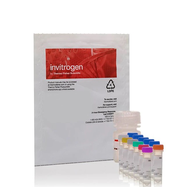 Invitrogen™ Amplex™ Red Hydrogen Peroxide/Peroxidase Assay Kit