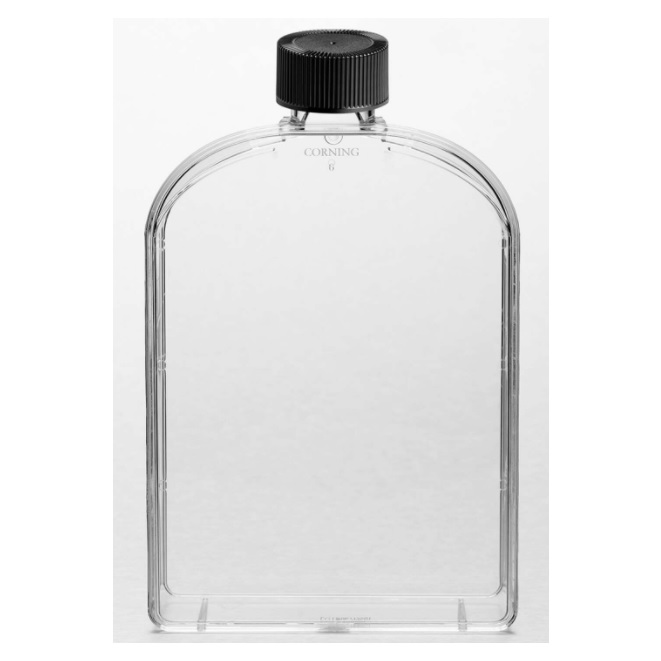 Corning® U-Shaped Angled Neck Cell Culture Flask with Phenolic-Style Cap, 175 cm²