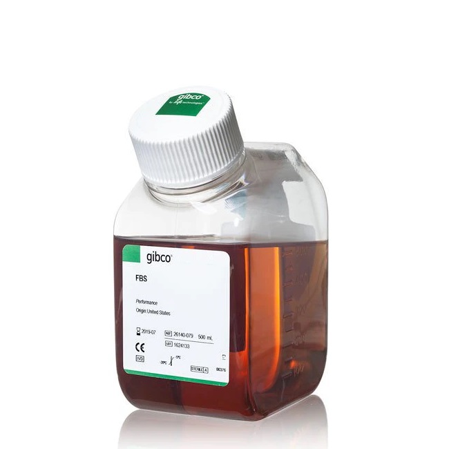 Gibco™ Fetal Bovine Serum, certified, One Shot™ format, United States, 500 mL