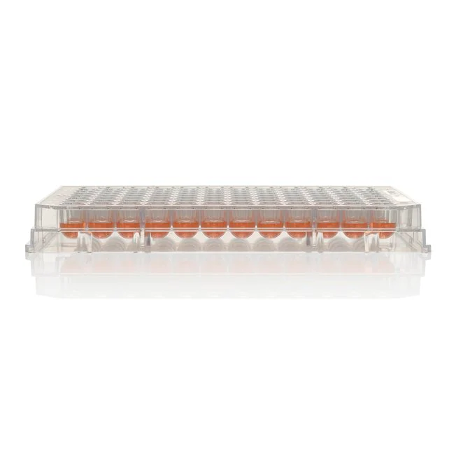 Nunc™ MicroWell™ 96-Well Microplates, Non-treated, Case of 160